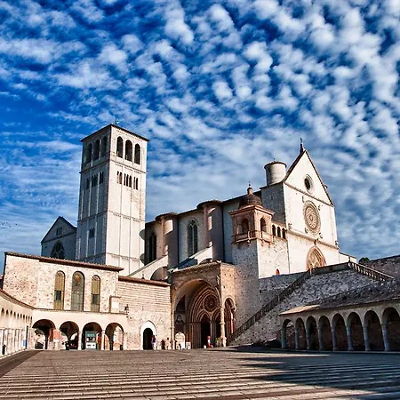 Vignola