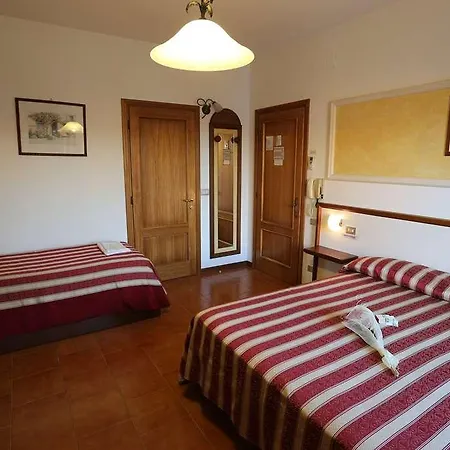 Vignola Assise